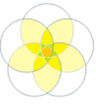 A yellow flower with a green centerDescription automatically generated